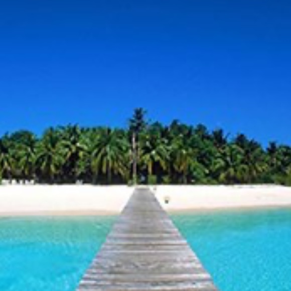 Meet your Posher, Katie - Picture 1 of 1